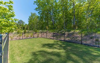 Dog park